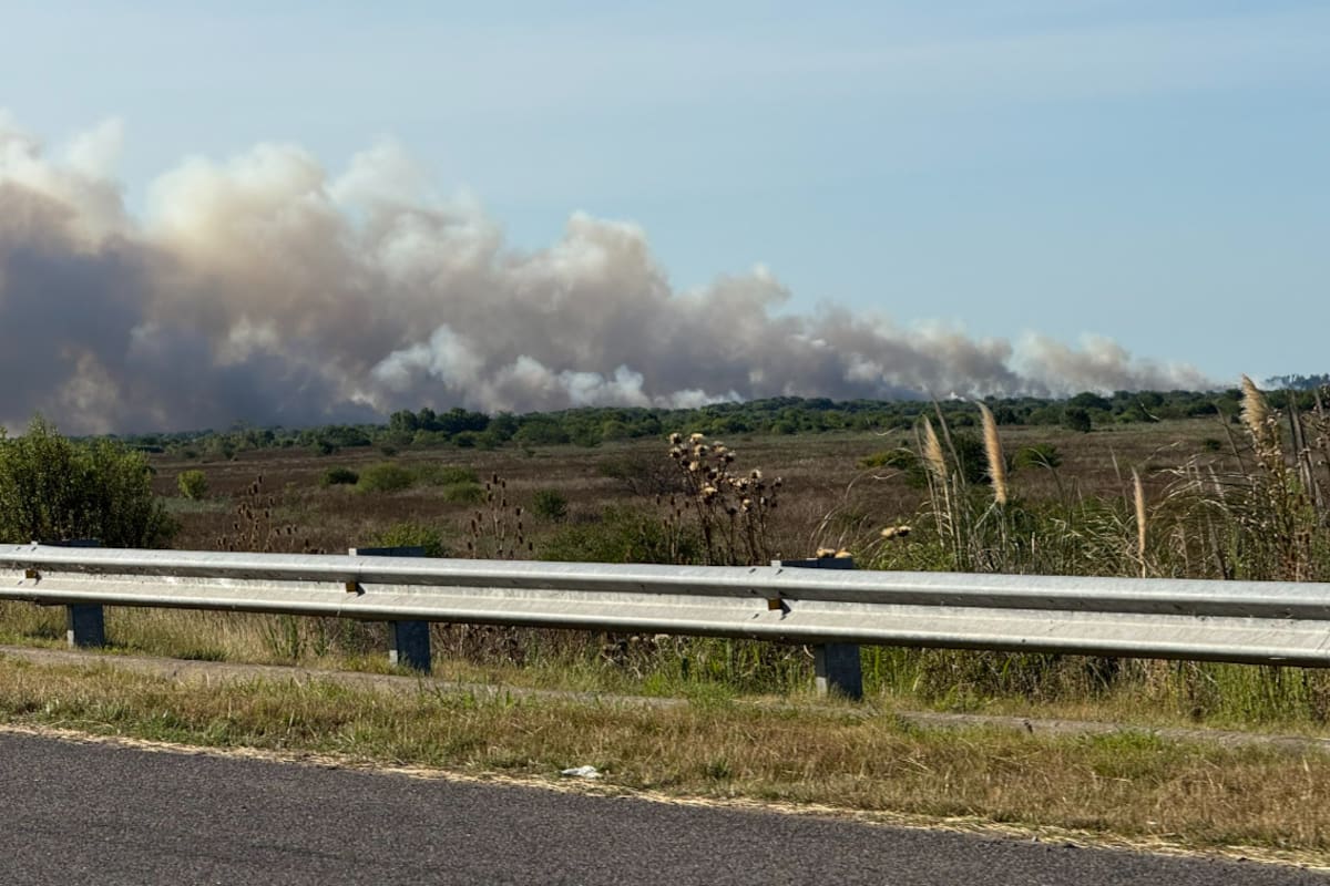 Incendio a la altura de Hudson