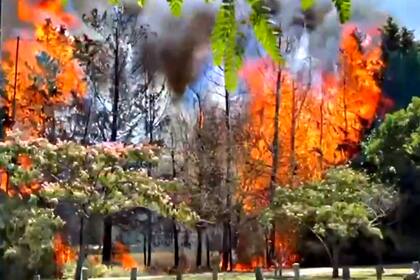 Incendio en el campo de golf