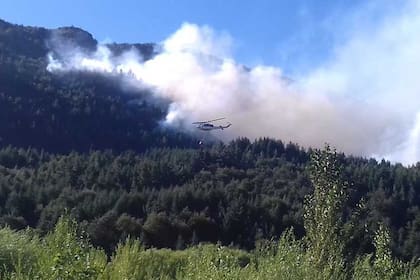 El fuego ya afectó unas 100 hectáreas de la zona de bosques