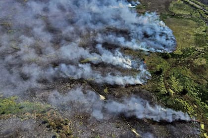 Incendio en el Parque Nacional Ciervo de los Pantanos