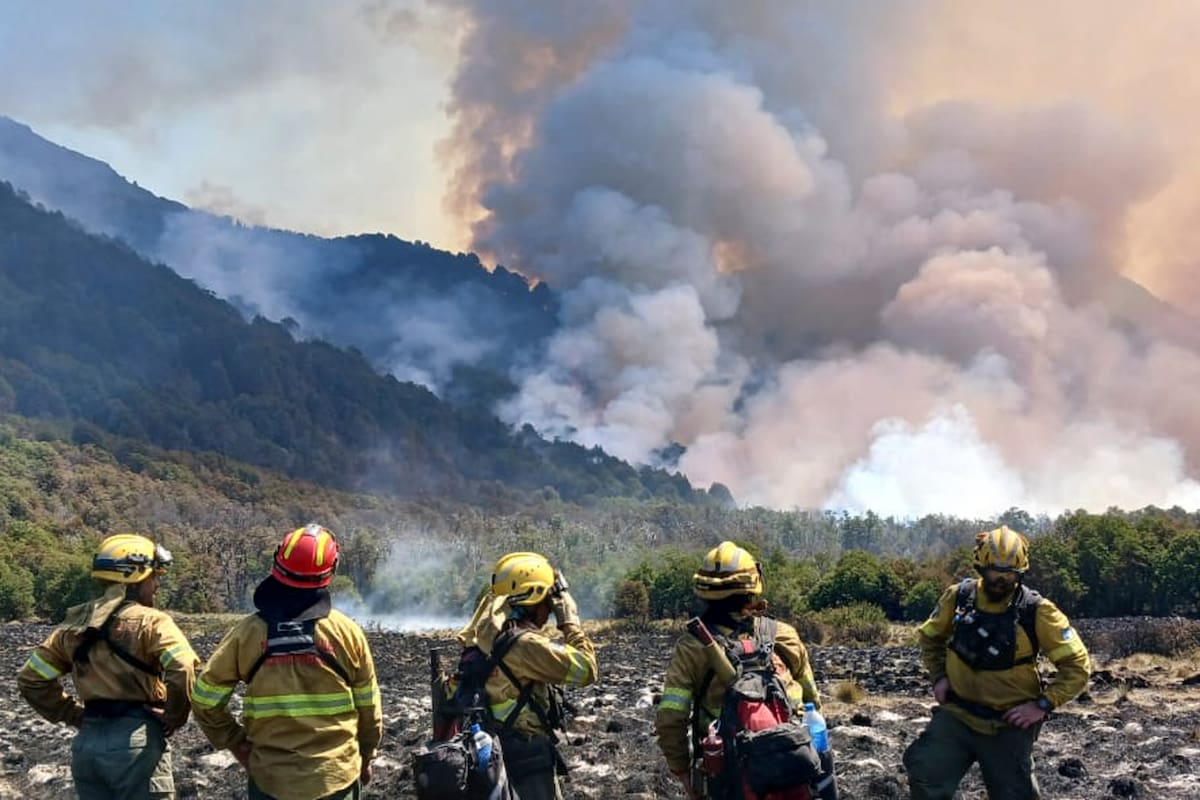 Incendio en el Parque Nacional Lanín entre enero y febrero de 2025