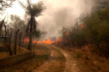 Incendio en el Parque Provincial San Cayetano, Corrientes. No hay bomberos disponibles para llegar a todos los focos