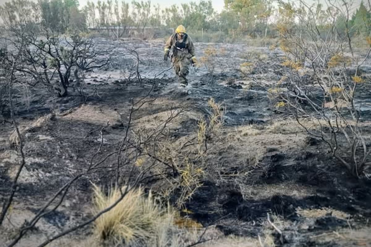 Incendio enel Parque Ecológico "El Doradillo"