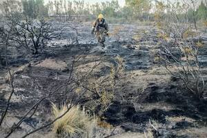Incendio enel Parque Ecológico "El Doradillo"