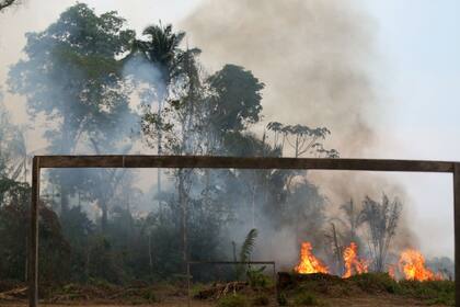 Incendio forestal cerca de Porto Velho