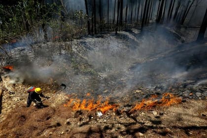 Incendio forestal en el estado Carabobo, Venezuela, el 27 de marzo de 2024.