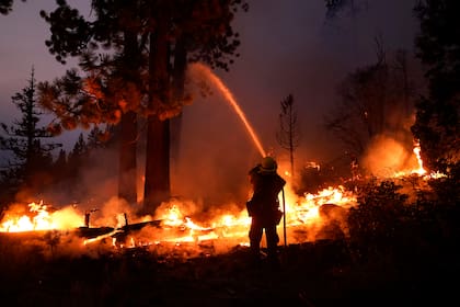Incendio forestal en los alrededores de lago Tahoe en California