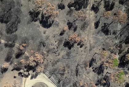 Incendios en España