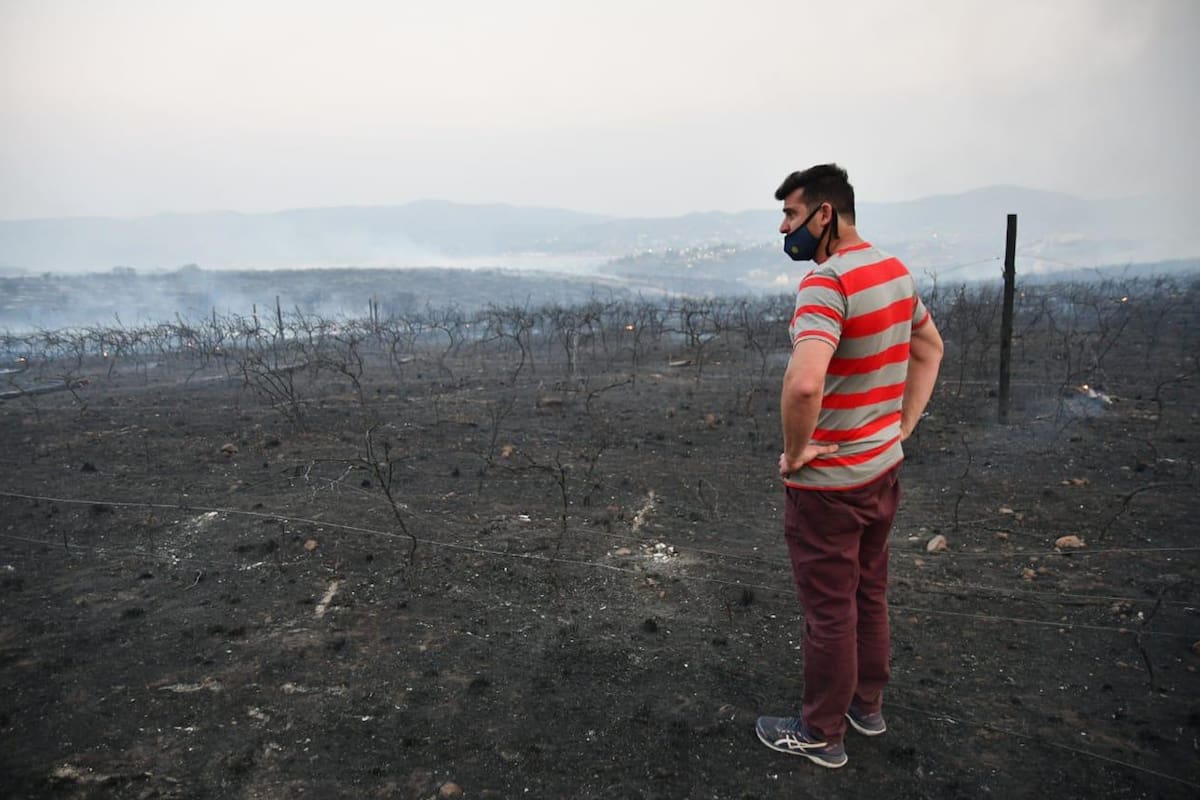 Incendios en Córdoba: "En 35 segundos el fuego arrasó, no quedó nada", dijo un dueño del parque acuático Pekos