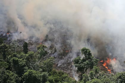 Vista de un incendio que afectó el Amazonas en septiembre de 2013, los incendios son cada vez más frecuentes