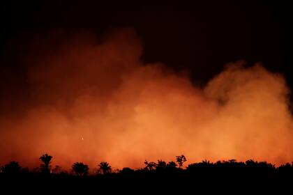 Se registraron más de 80.000 focos de incendio entre la Argentina, Brasil, Paraguay y Bolivia