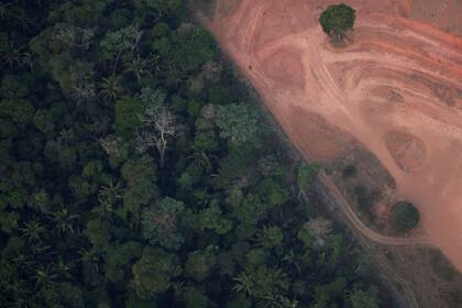 La política agroindustrial de Bolsonaro fomentó la tala de árboles en el bosque amazónico y el aumento de la productividad