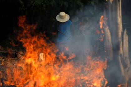 Un granjero camina entre las llamas que afectan a gran parte del Amazonas Fuente: Reuters - Crédito: Bruno Kelly.
