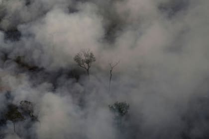 El fuego arrasó con todo lo que encontré en su camino