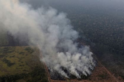 Varios países ya manifestaron su preocupación por la situación en la Amazonia