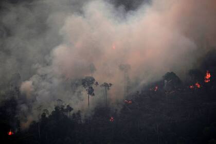 Incendios en el Amazonas