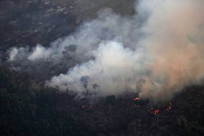 Dentro de las áreas quemadas hay poblaciones locales, fauna y flora autóctona