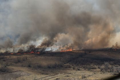 Incendios en el Delta: “El ministro de Ambiente es un inútil”, calificó el intendente de San Nicolás, Manuel Passaglia, a Juan Cabandié