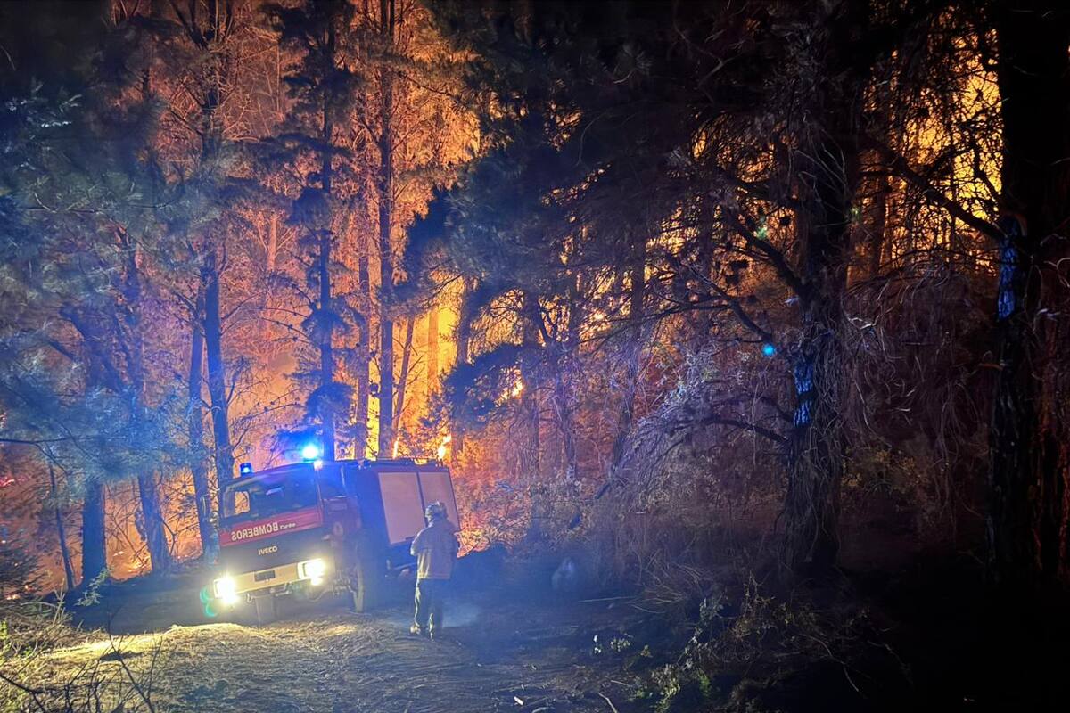 Incendios en el Hoyo, Chubut