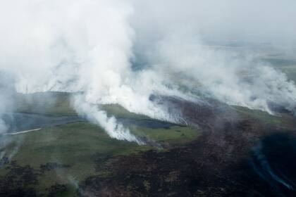 Incendios en el Iberá, en Concepción, Corrientes; en total, se quemaron casi un millón de hectáreas en 2023