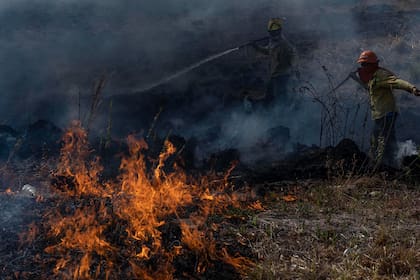 Incendios en la provincia de Corrientes