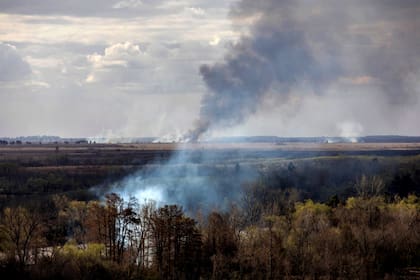Se estima que ya se quemaron unos 900 kilómetros cuadrados en la zona del Delta del Paraná