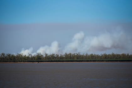 Incendios en las islas del Paraná