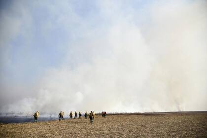 Incendios en las islas del Delta del Paraná