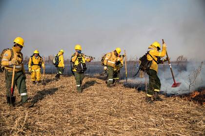 Incendios en las islas del delta del Paraná