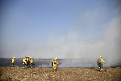 Incendios en las islas del Delta del Paraná