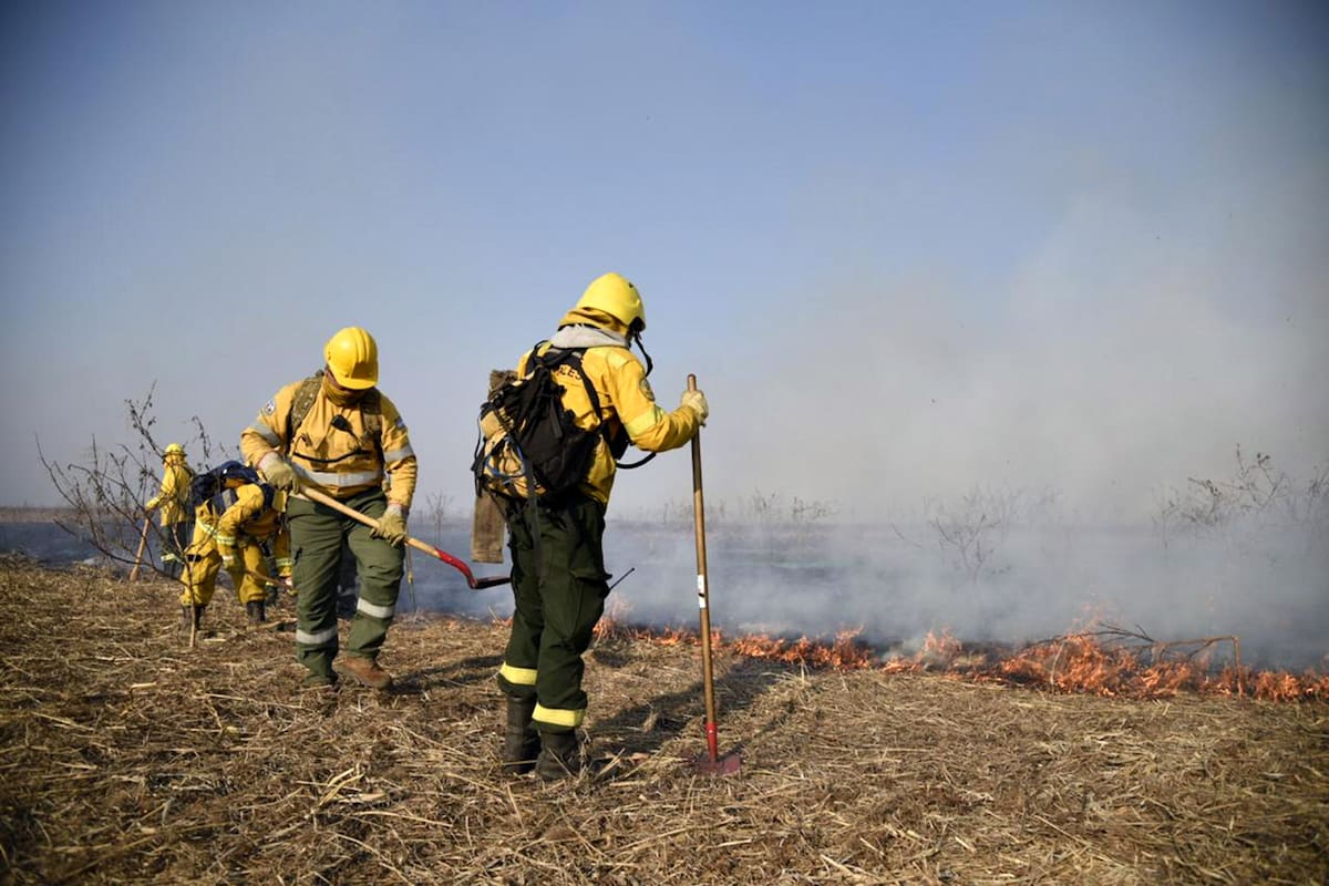Incendios en las islas del Delta del Paraná
