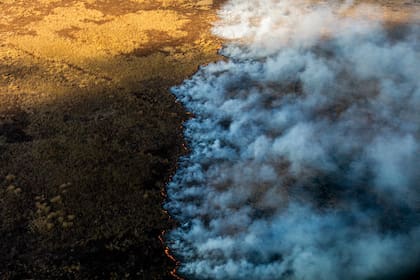 Incendios en las islas del delta del Río Paraná