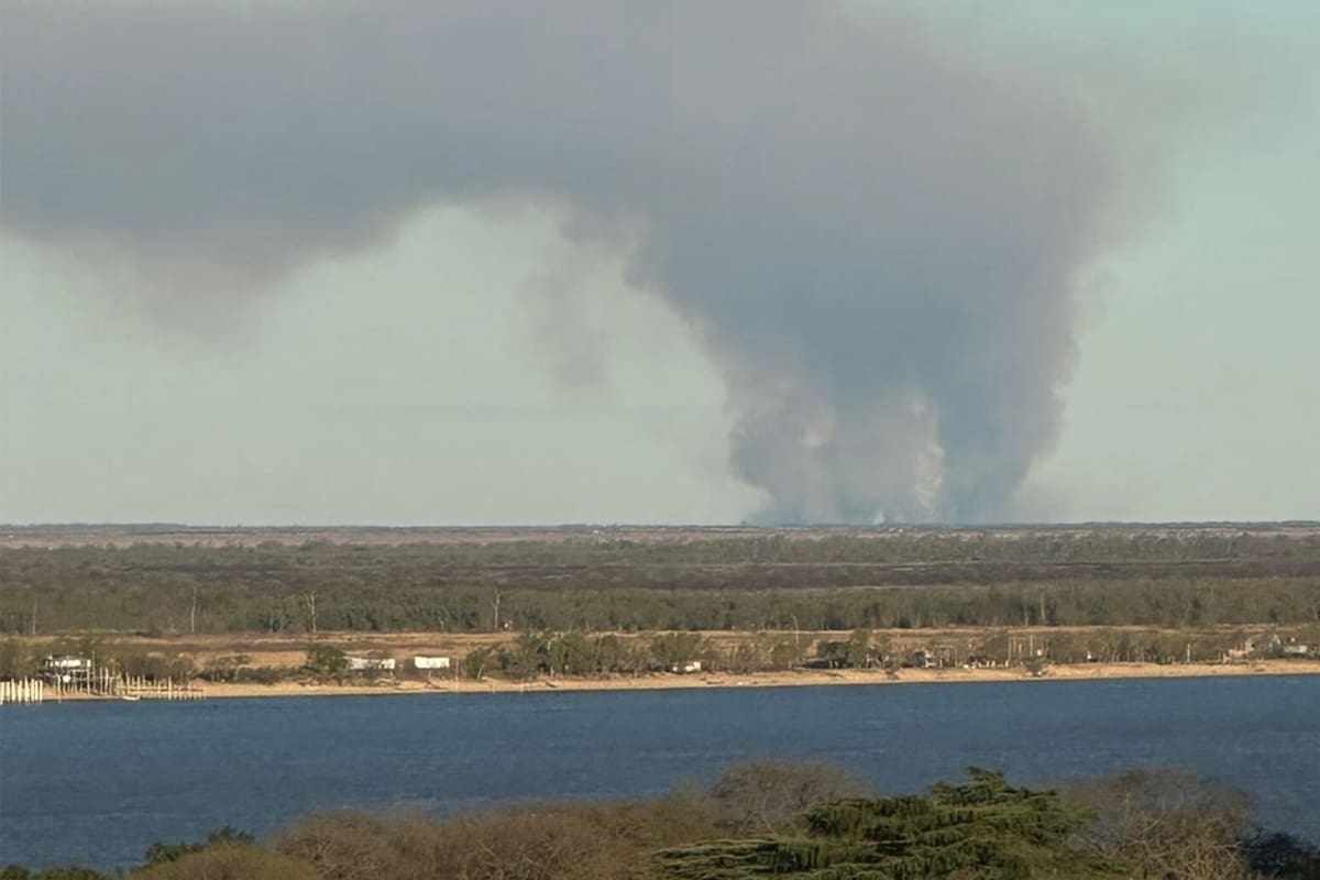 Incendios en las islas frente a Rosario detectados ayer