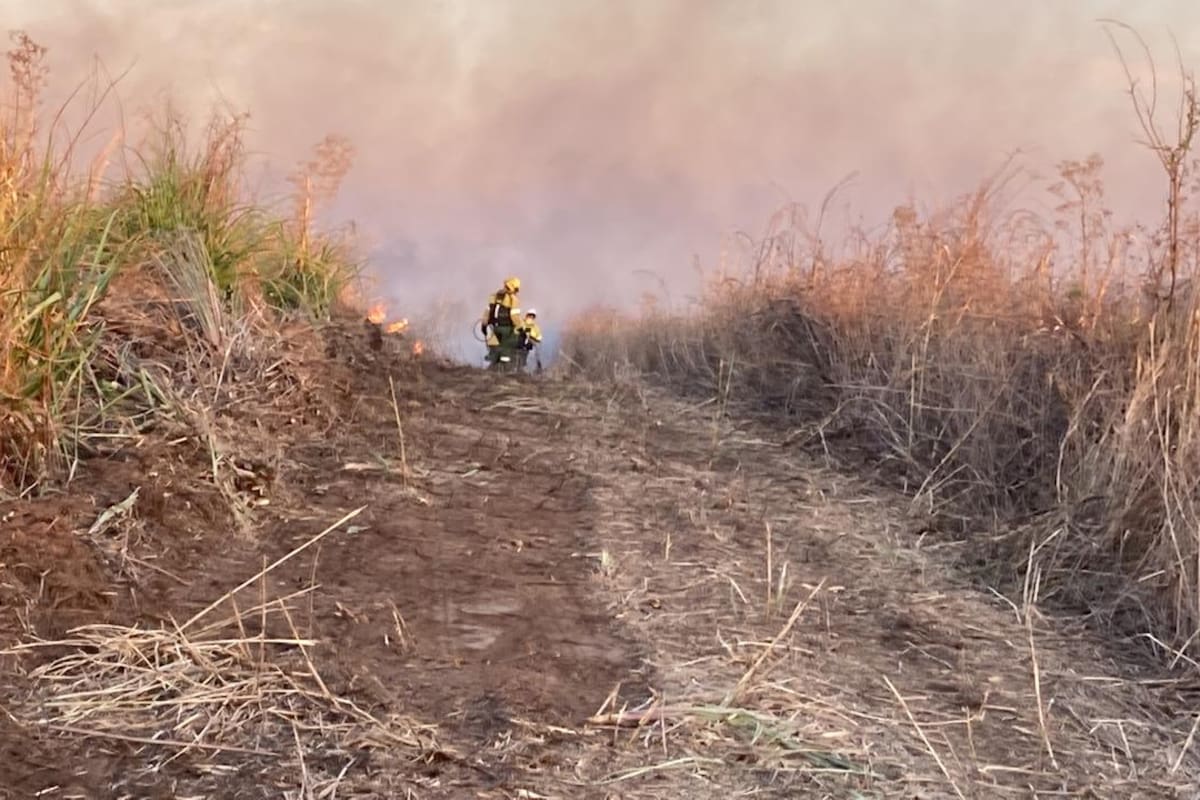 Incendios en las islas frente a Rosario: por falta de pruebas sobreseyeron a 42 productores