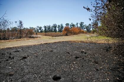 Vecinos del partido de Merlo, denuncian subas de ABL, lo que producen en sus campos no alcanza para pagar los impuestos