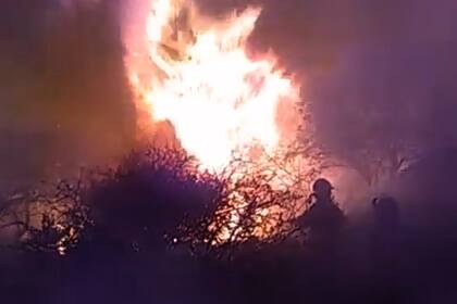 Incendios en Tala Cañada, Córdoba