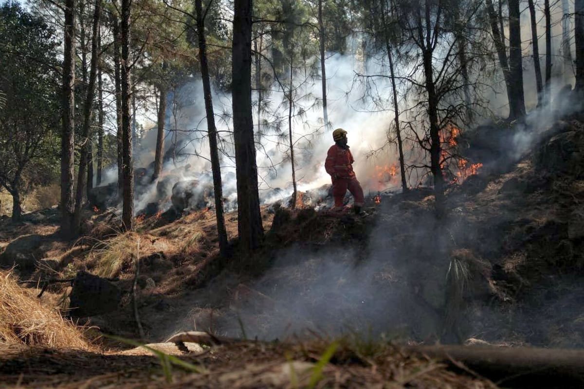 Incendios en Villa Berne, Córdoba