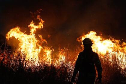 Incendios forestales, como los que quemaron 175.000 hectáreas en el país la semana pasada, son un llamado de atención