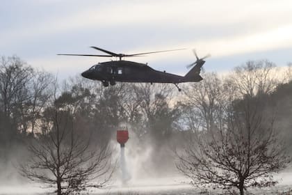 Incendios forestales en Carolina del Sur: Más de 175 incendios activos han consumido aproximadamente 1700 hectáreas, llevando al gobernador Henry McMaster a declarar el estado de emergencia el 2 de marzo