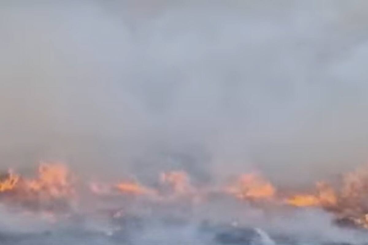 Incendios forestales en Escocia fuera de control