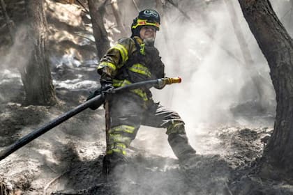 Incendios, inundaciones y olas de calor intenso son algunos de los efectos del calentamiento global se han sucedido en este último año
