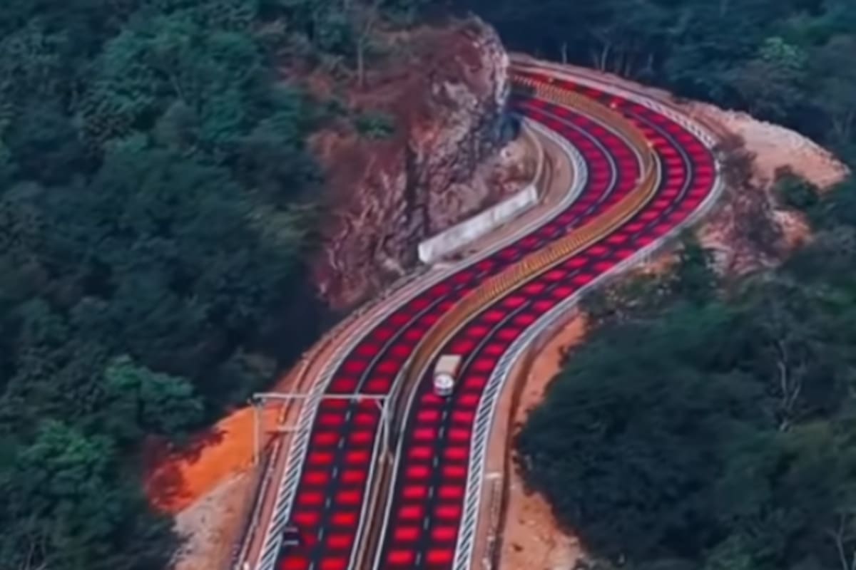 India pinta sus carreteras de rojo para proteger a los animales y reducir accidentes