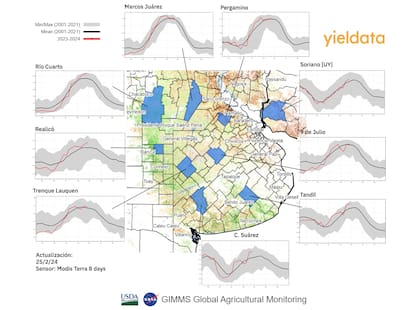 Indicador: NDVI regional