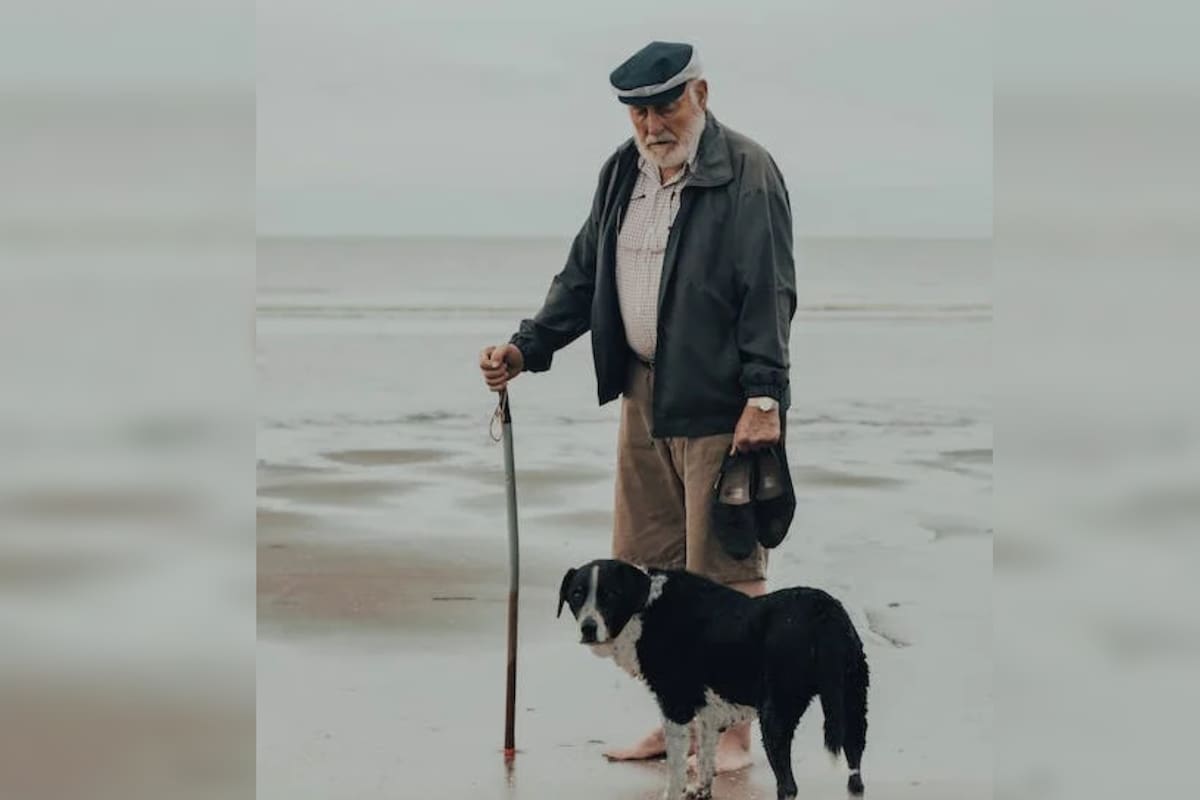 Indicaron cómo afecta tener mascotas en la adultez (Foto Pexels)