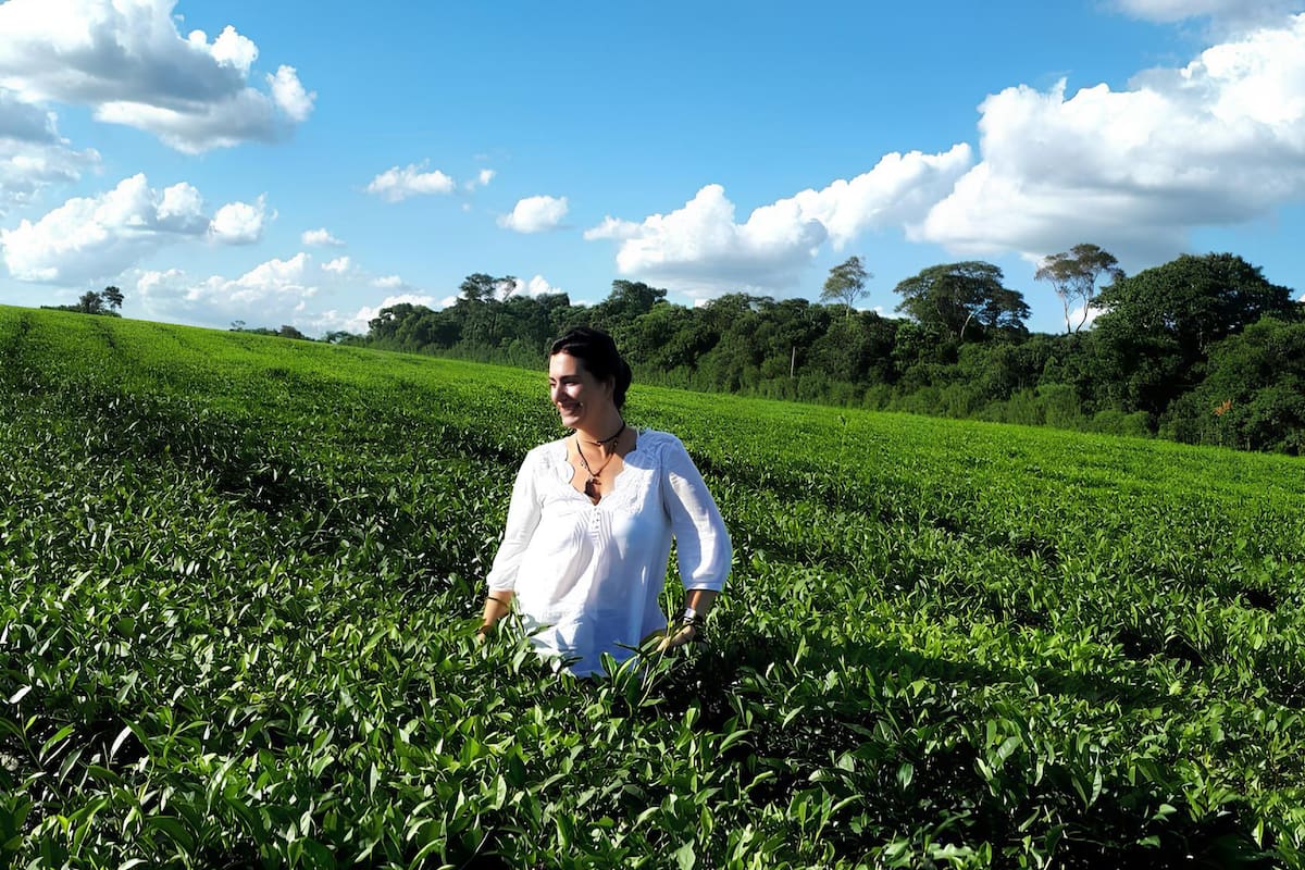 Inés Berton en una de sus recorridas por campos de té