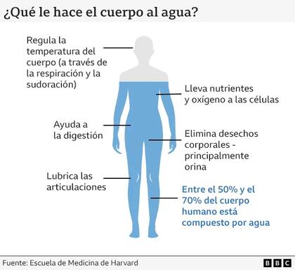 INFOGRAFÍA
