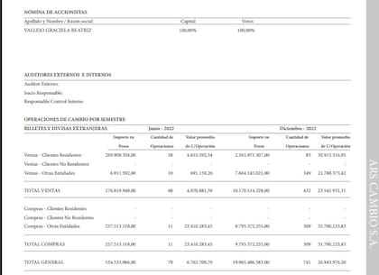Informe de entidades no financieras, publicado por el BCRA