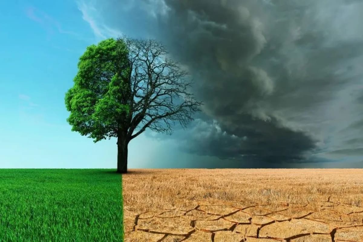 Informe de la NASA: el cambio climático es un fenómeno ambiental que afecta a la población global y las diferentes naciones