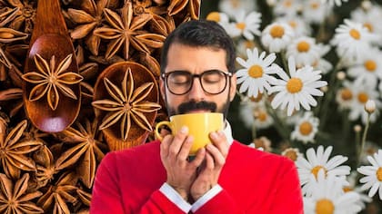 Infusión de bicarbonato de sodio con manzanilla: beneficios, usos y para qué sirve