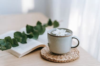 Infusión de eucalipto (Pexels)